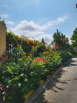 Designing Flower Borders: Professional Techniques